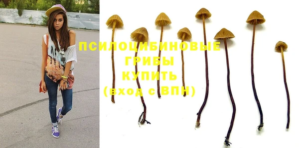 Альфа ПВП Кулебаки