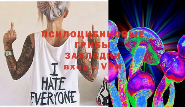 Альфа ПВП Кулебаки