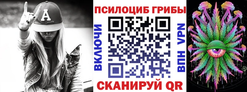 купить наркоту  Волгодонск  Псилоцибиновые грибы мухоморы 