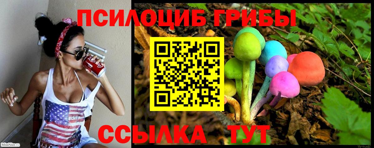 Псилоцибиновые грибы Magic Shrooms  Вход с VPN  наркота  Волгодонск  Псилоцибиновые грибы Psilocybine cubensis 